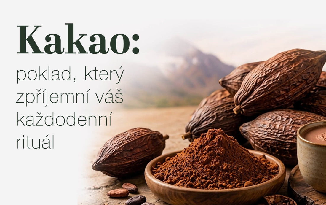Účinky kakaa: poklad, který zpříjemní váš každodenní rituál