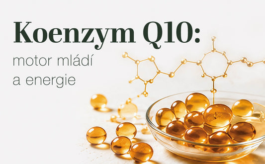 Koenzym Q10: motor mládí a energie