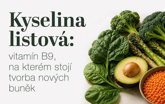 Kyselina listová: vitamín B9, na kterém stojí tvorba nových buněk