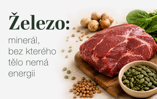 Železo: minerál, bez kterého tělo nemá energii