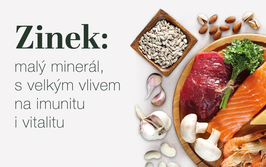 Zinek: malý minerál s velkým vlivem na imunitu i vitalitu