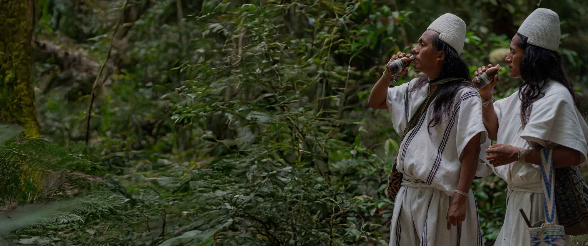 Prečo elixír funguje lepšie